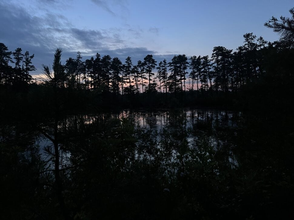 Night Hike 1